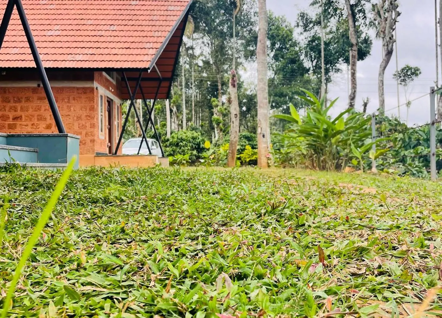 Senthamarai Homestay Sultan Bathery India