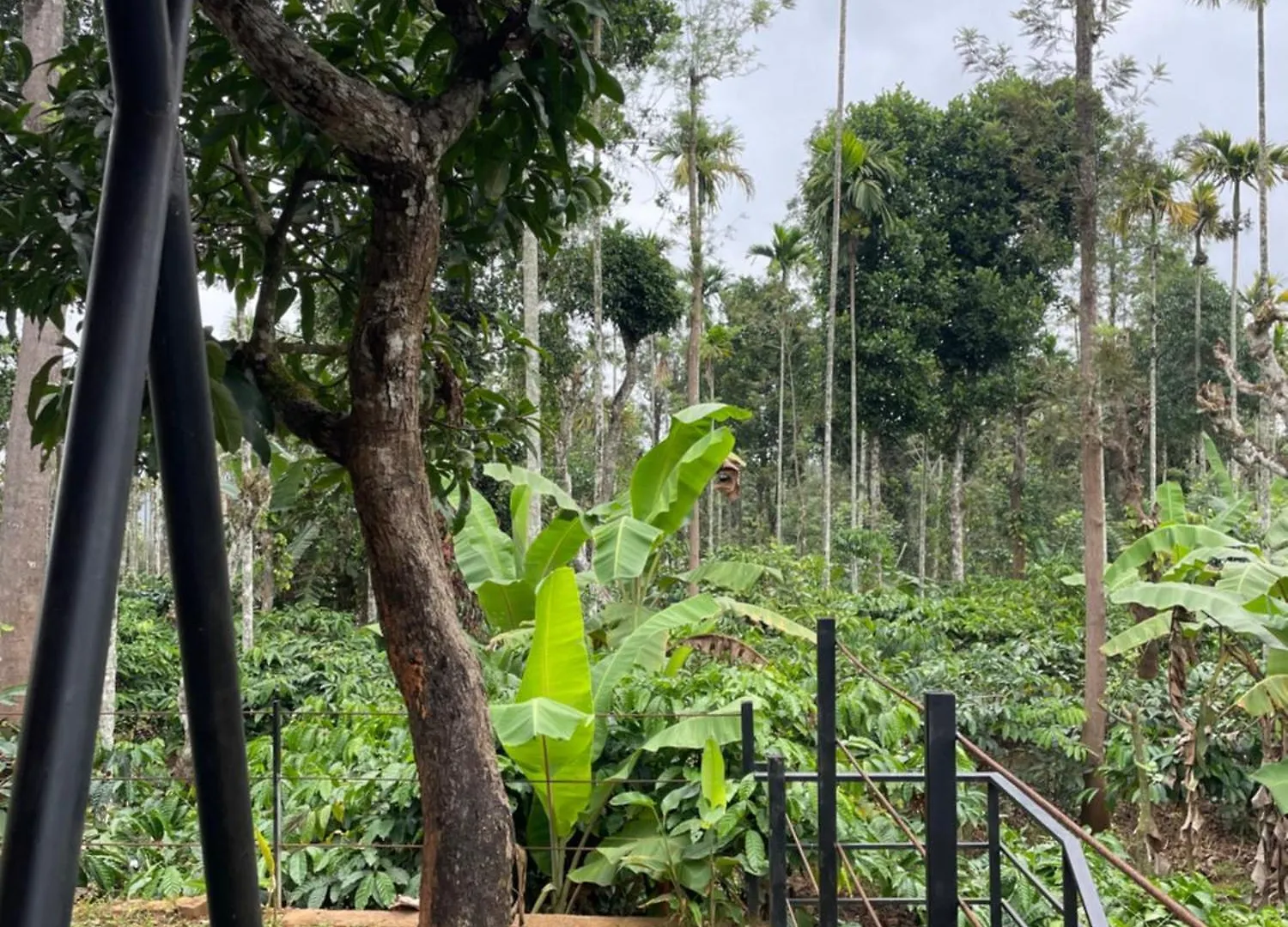 Holiday home Senthamarai Homestay Sultan Bathery India