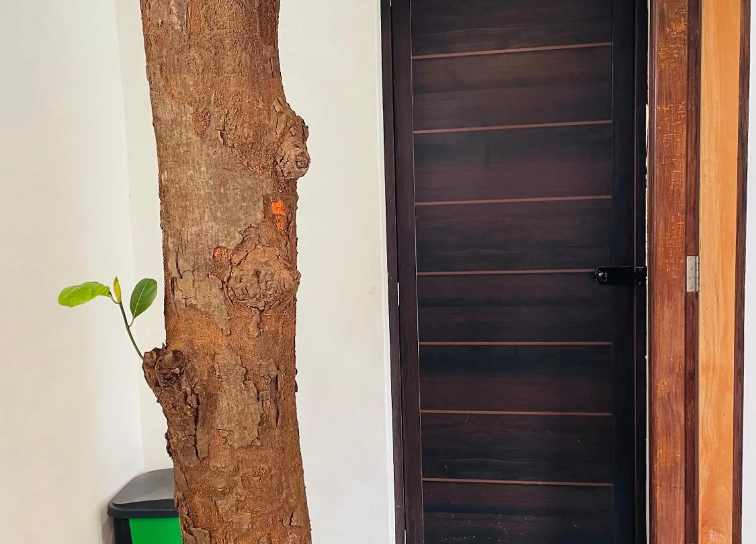 Holiday home Senthamarai Homestay Sultan Bathery