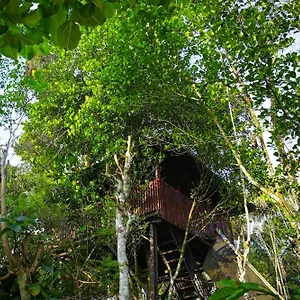 Greens Tree House & Wood House Resort